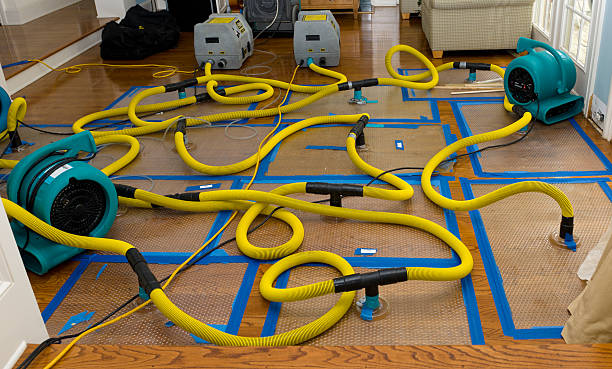 Professional Water Extraction technician working in Bakersfield, CA